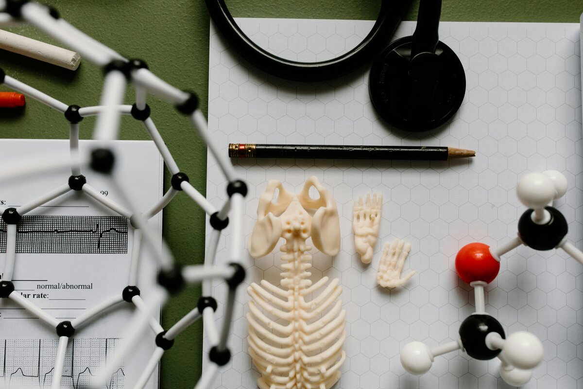 Образование в области стоматологии (на английском языке)