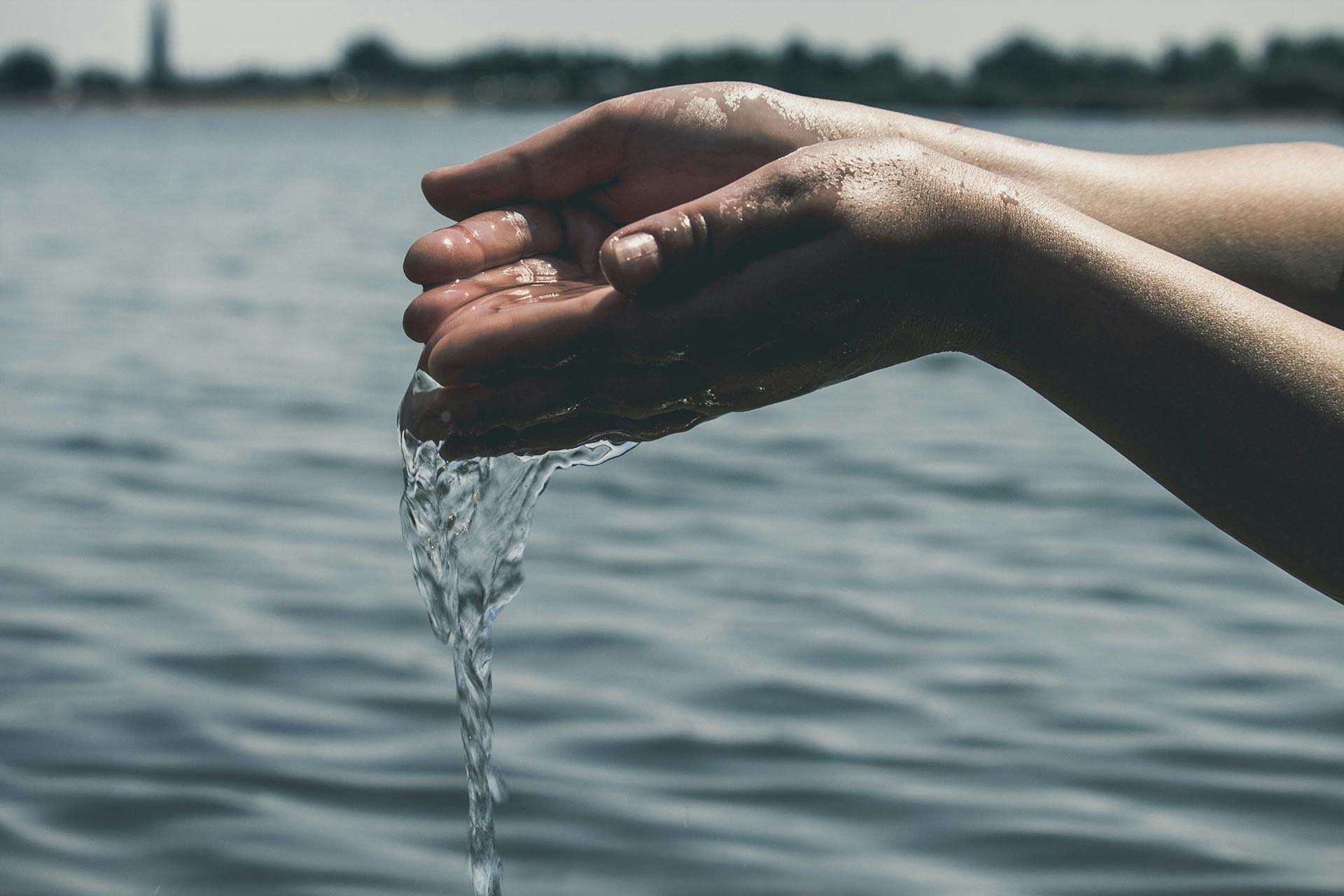 Climate Change, Management and Finance MSc
