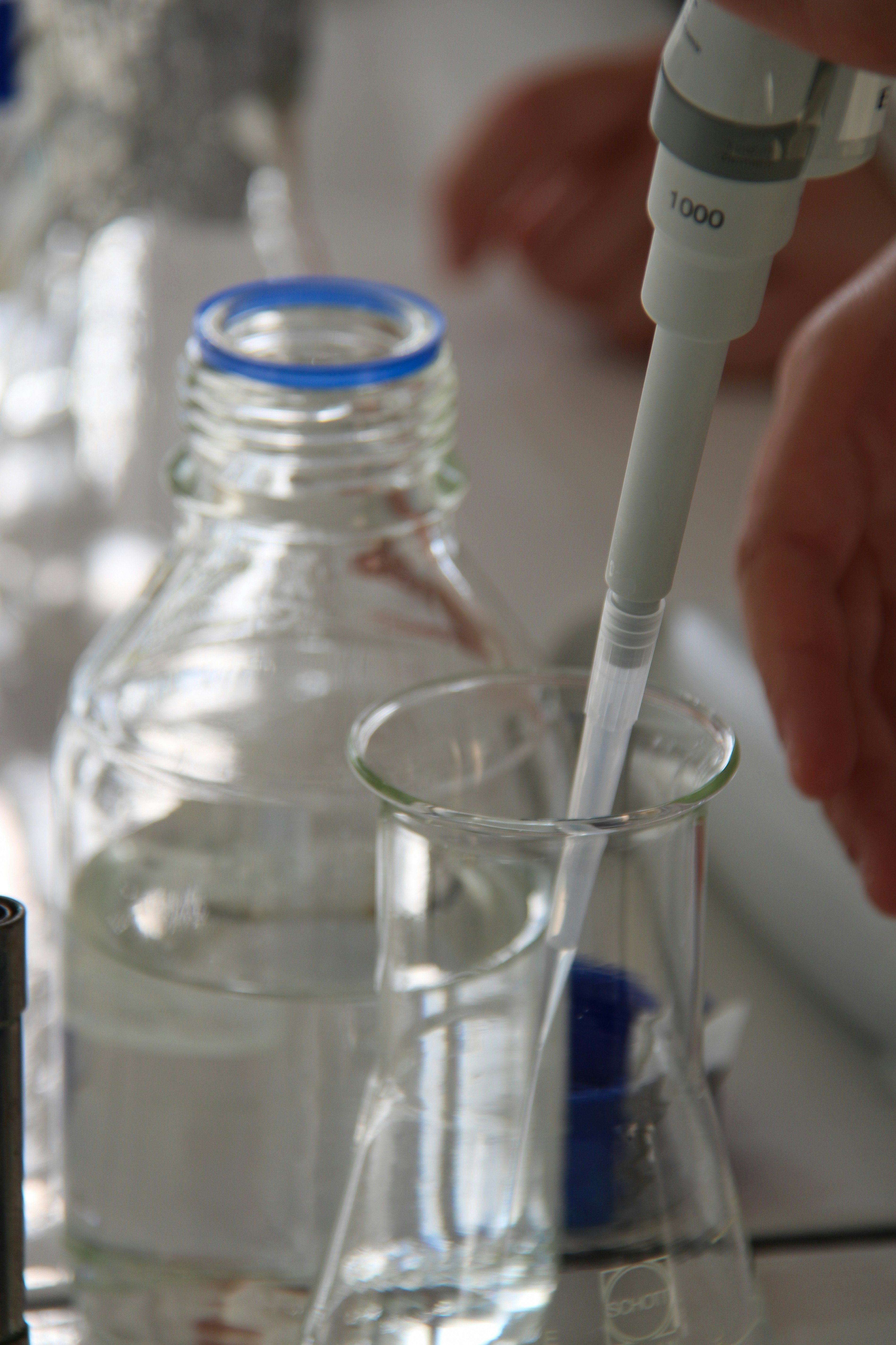 Uhandisi wa Biomedicine MSc