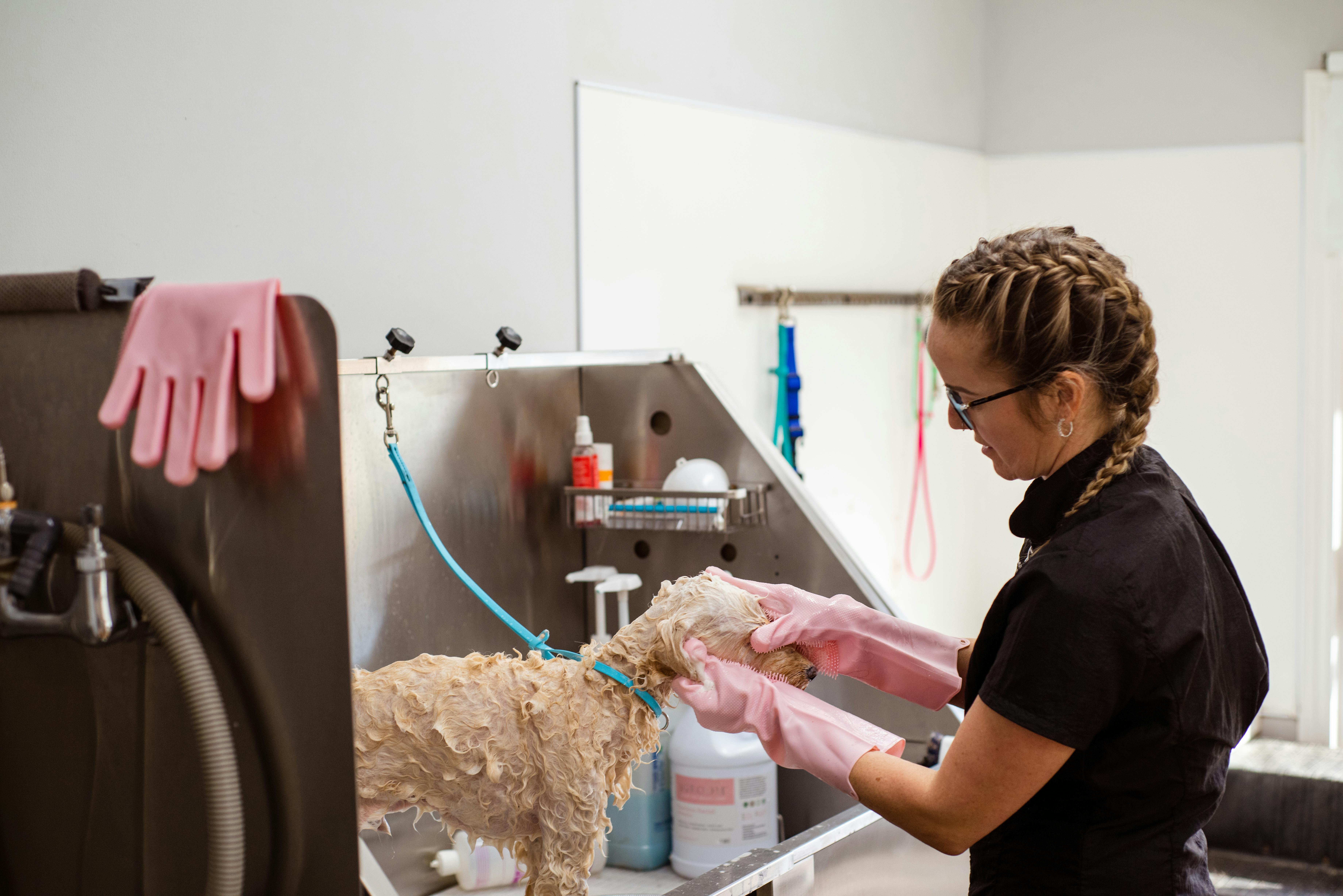 Sains Bioveterinar BSc