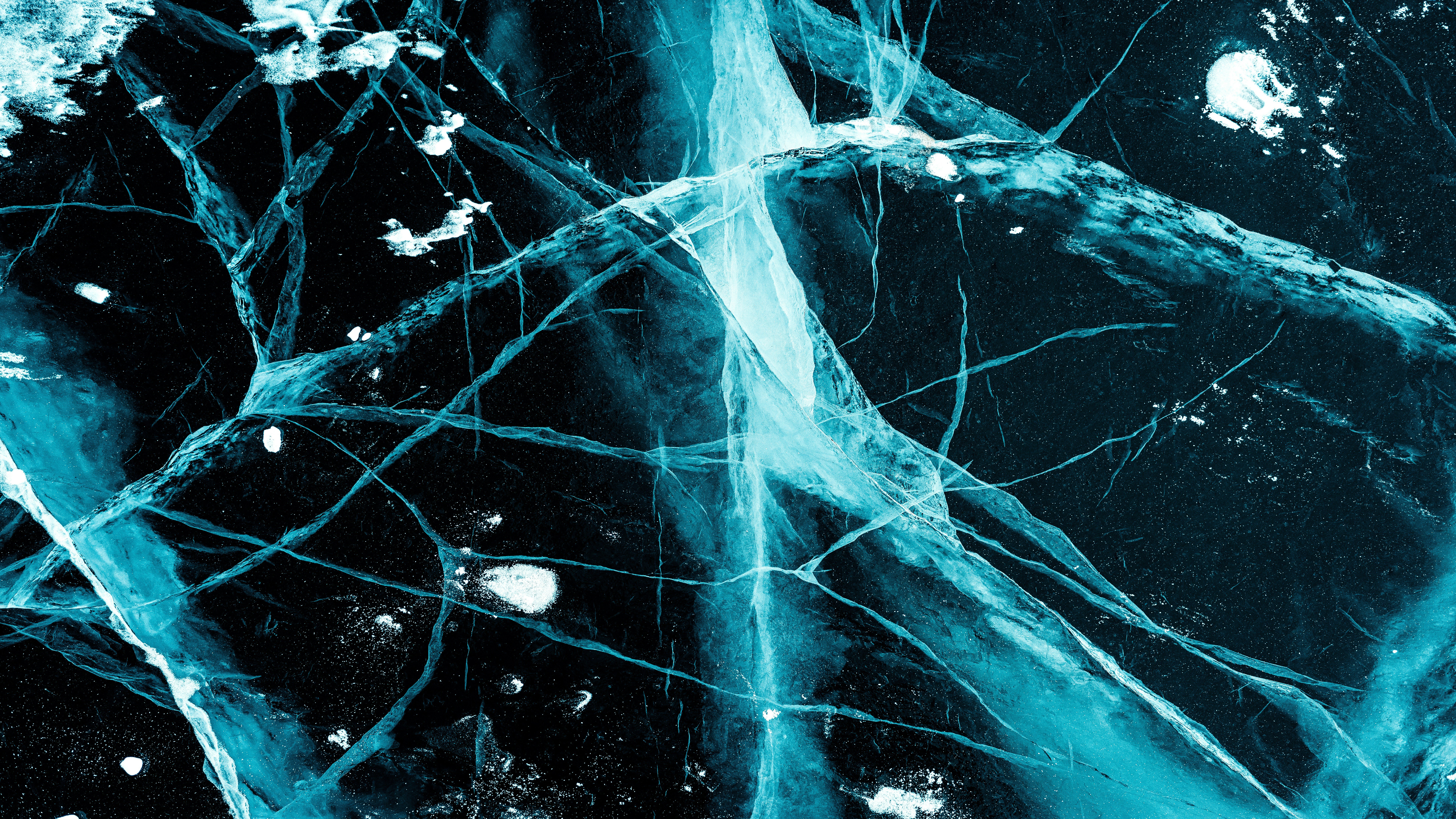 Neurociencia (con año de formación profesional) Licenciatura en Ciencias