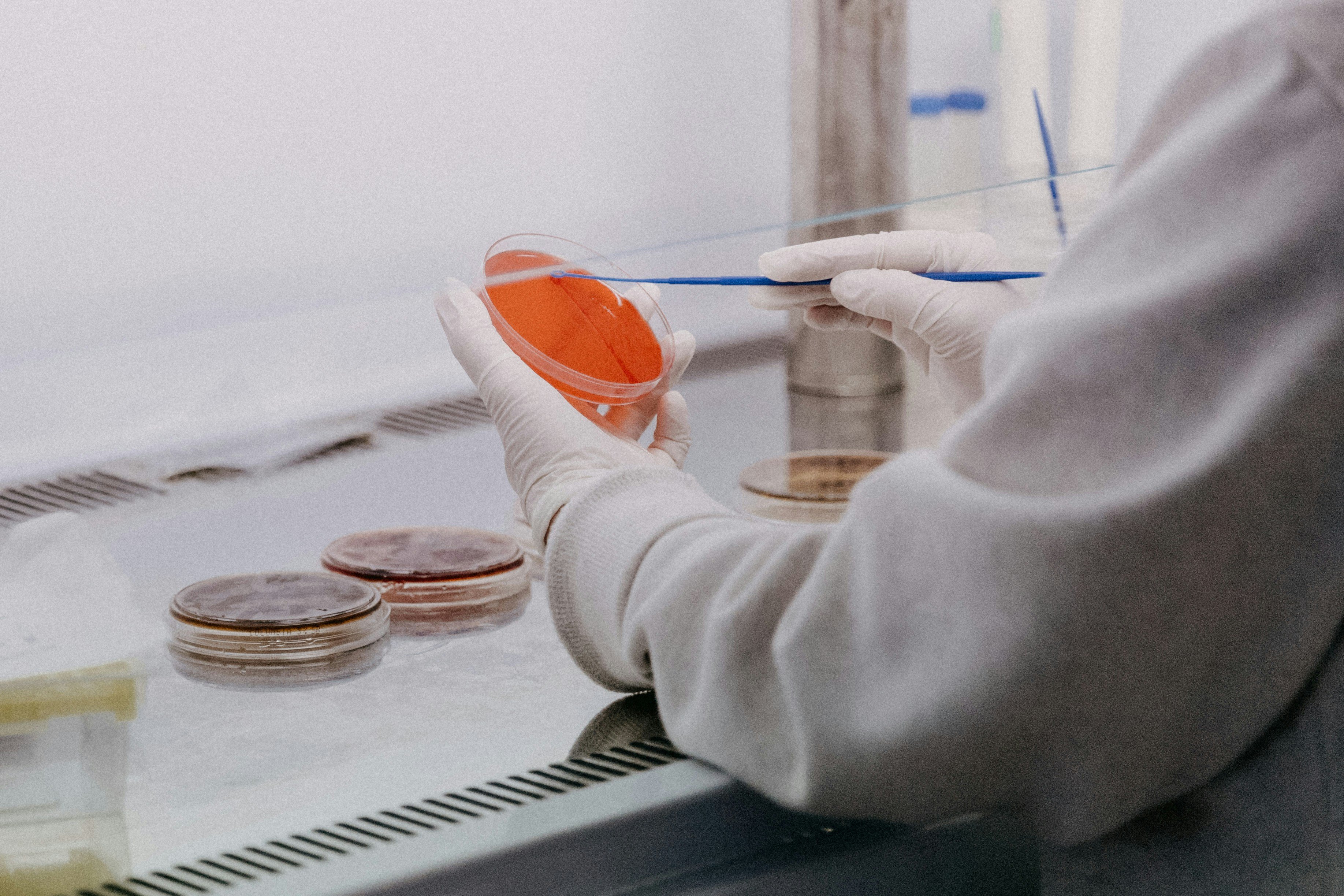 Biología molecular, genética y bioingeniería