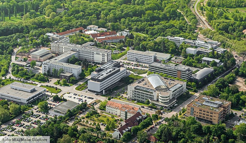Biology (BSc)