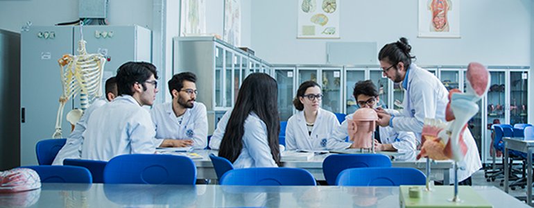 Faculty of Medicine (Turkish)