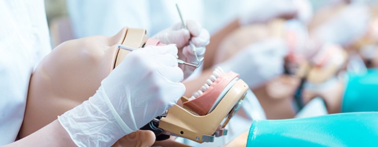 Факультет стоматологии (турецкий)