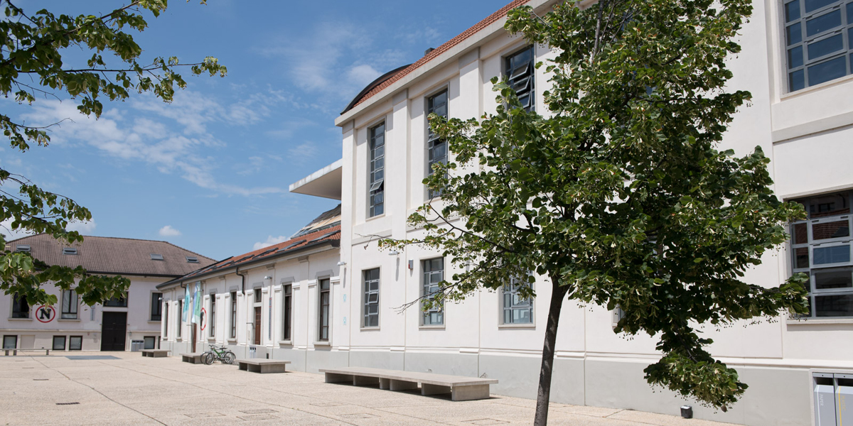 Дизайн бренда (специализация)