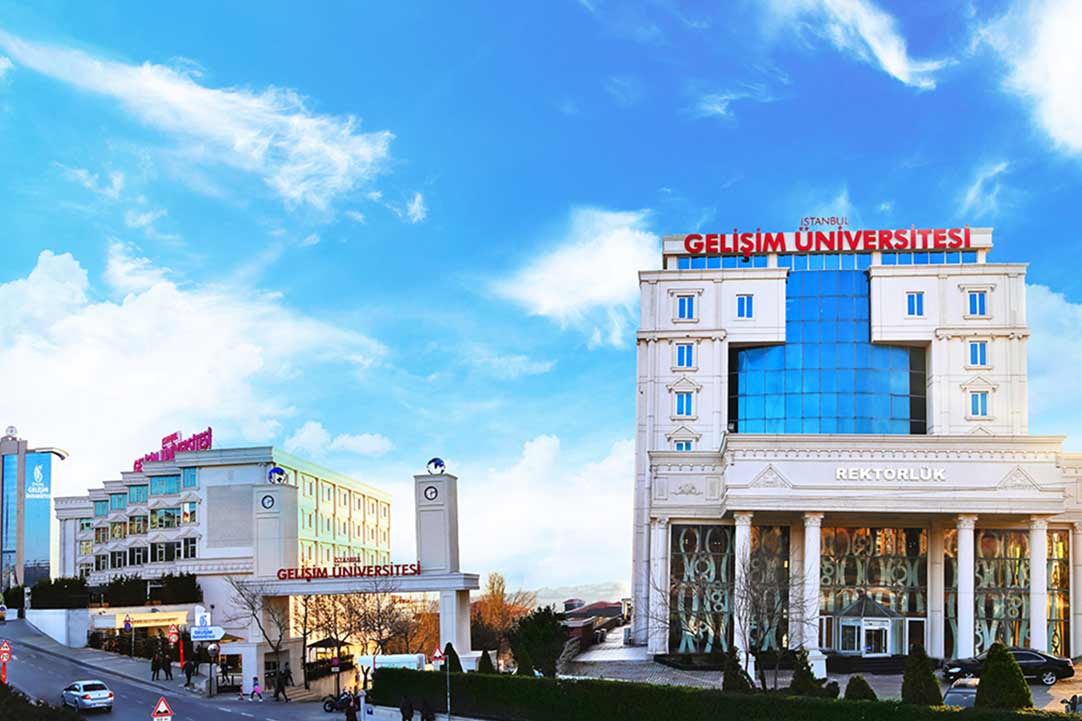 Mesleki Terapi