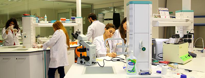 आणविक जीवविज्ञान (अंग्रेजी) / नॉन-थीसिस