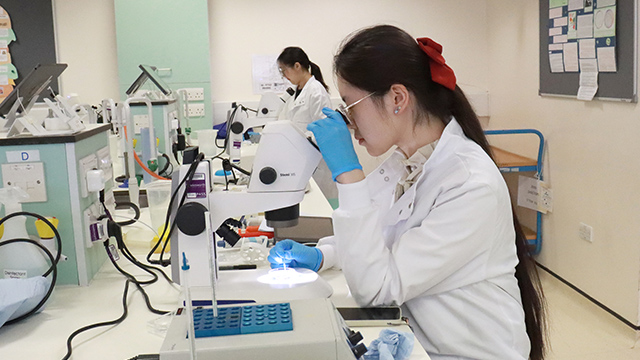 BSc Biology