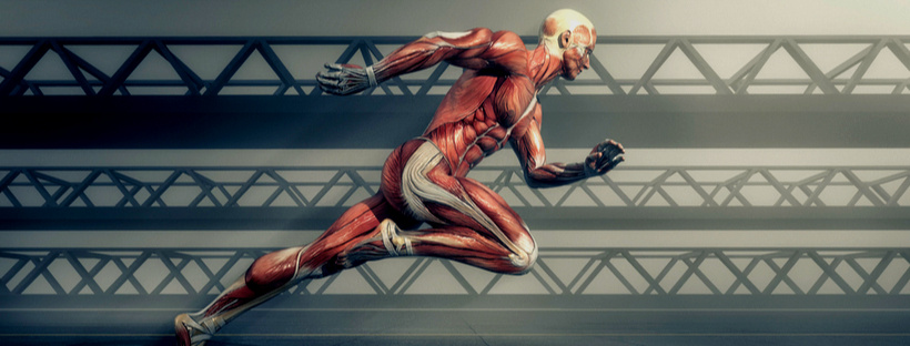 Exercise Science MS