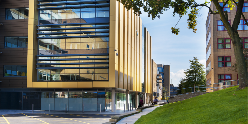 Digital Marketing MSc