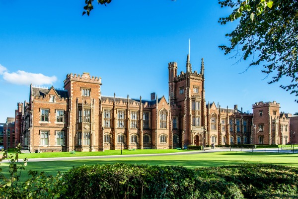 International Business MSc