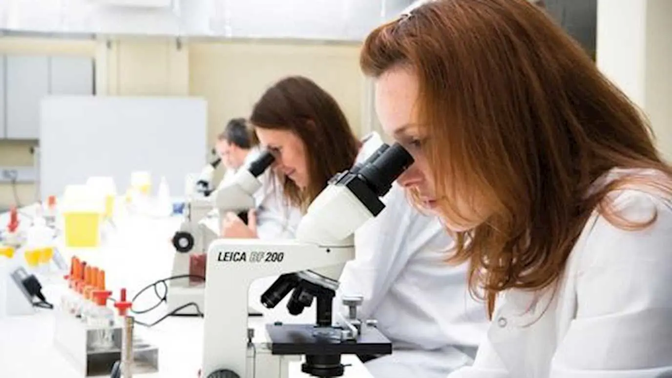 Genetics BSc