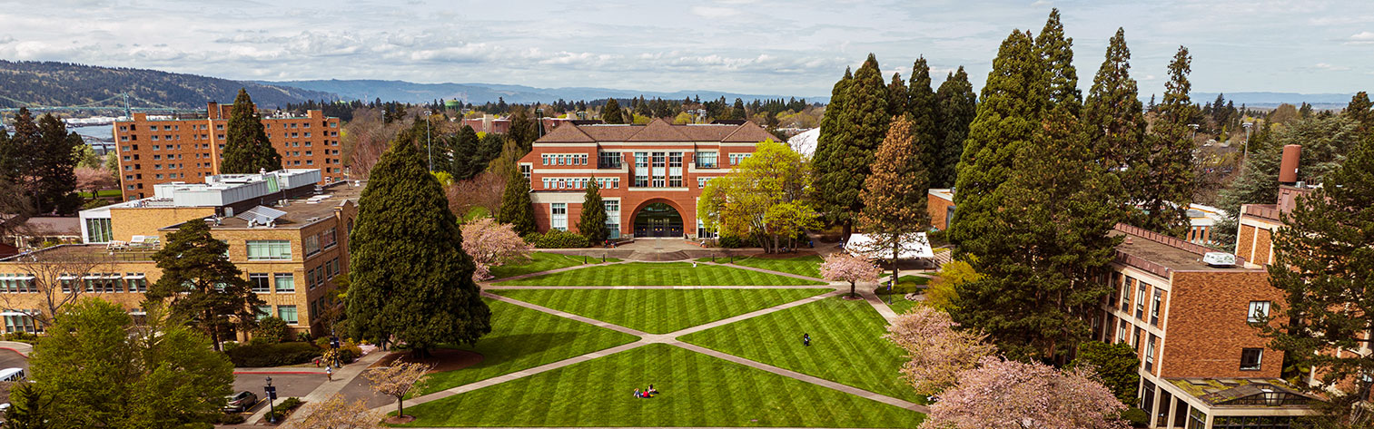 MBA (Business Administration)