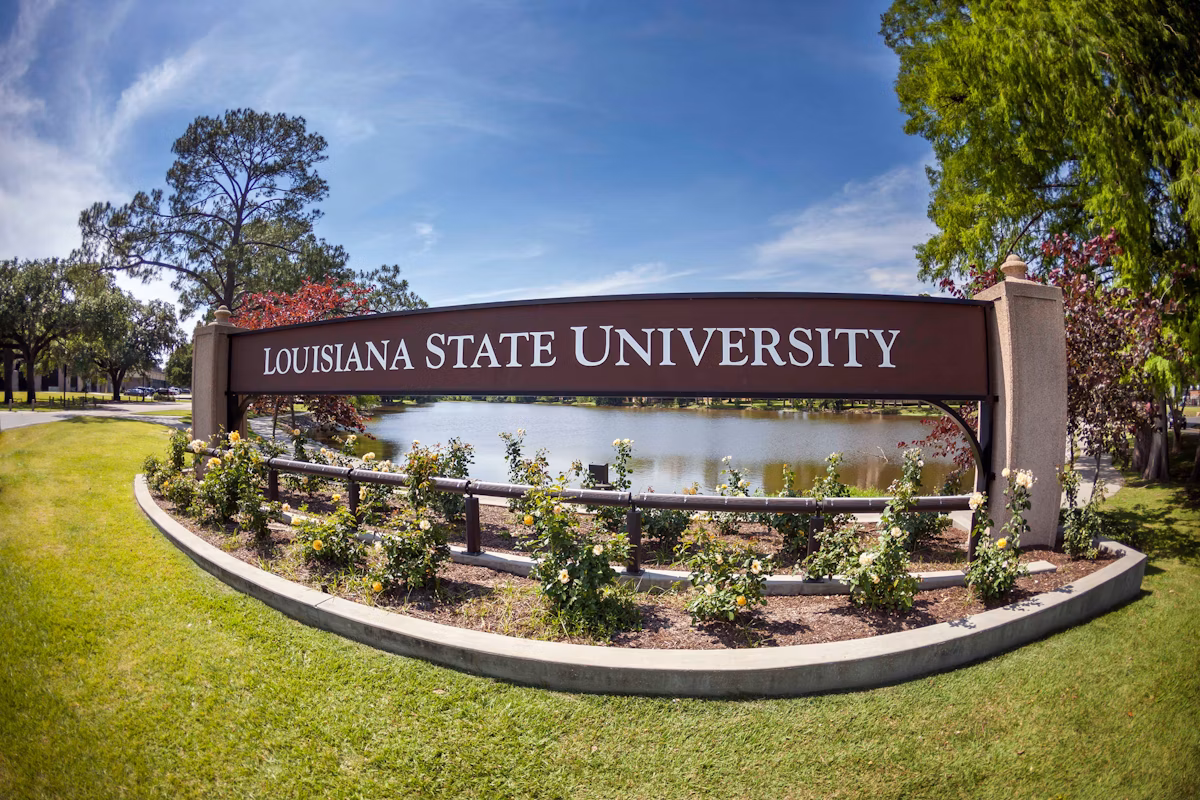 Pre-Nursing BSN