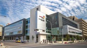 Certificado de Diploma de Profesional en Recuperación de Adicciones