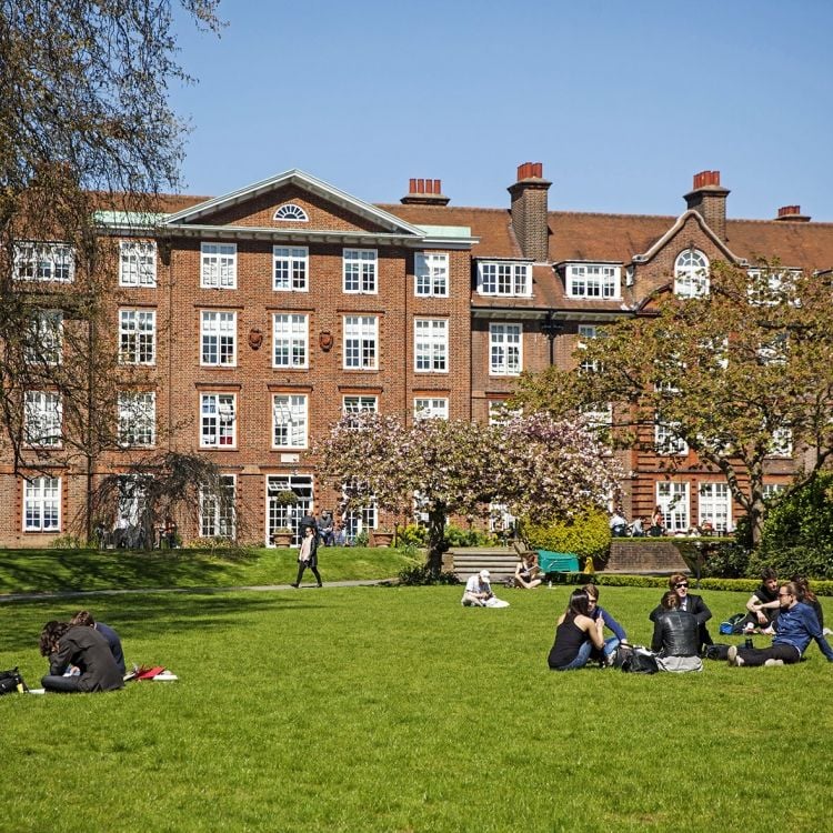 Psychology MSc