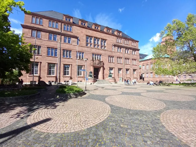 علم التوليد