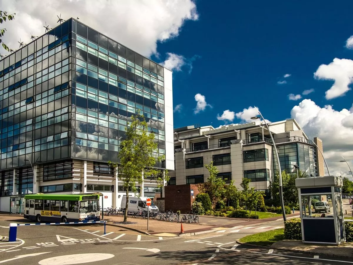 نمذجة معلومات البناء (BIM) والتعاون في المشاريع