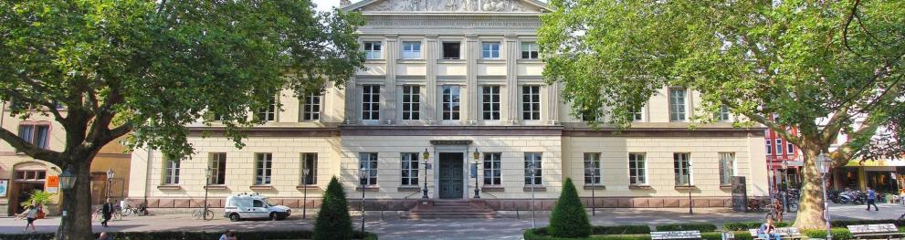 Diversity Studies in the Social Sciences (M.A)