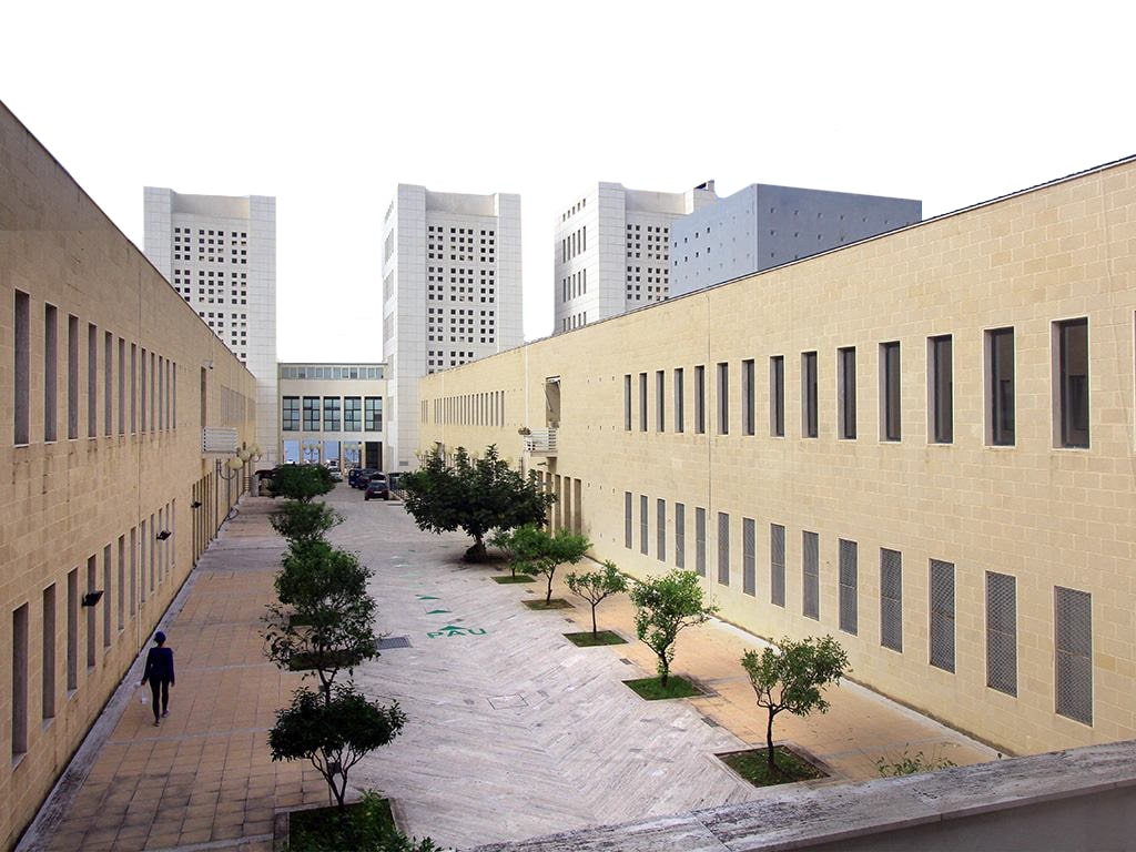 Магистр наук о качестве и безопасности пищевых продуктов