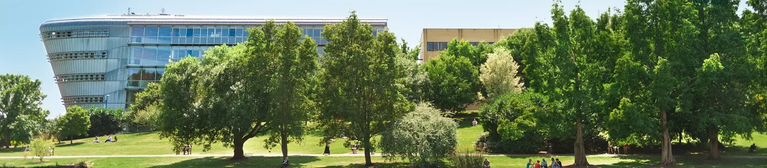 International Tourism Management Msc