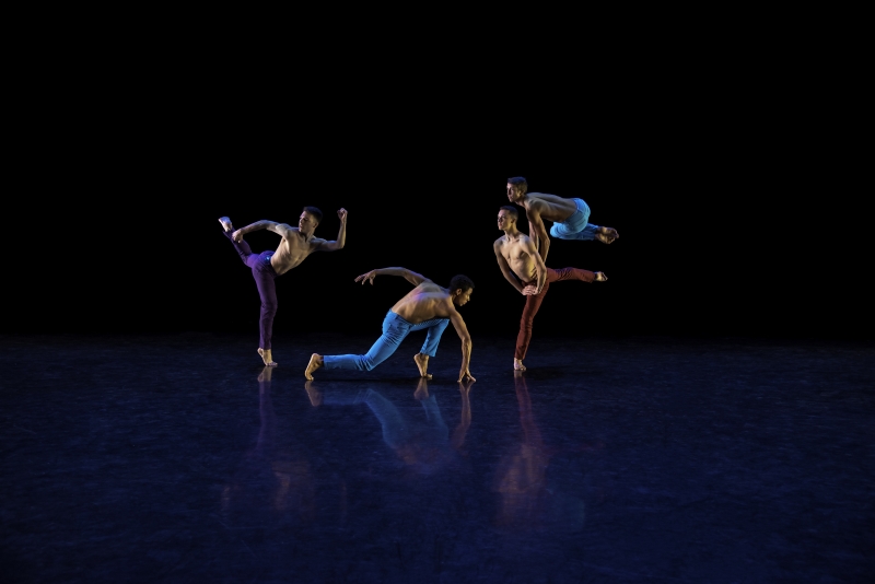 Dance (BA)