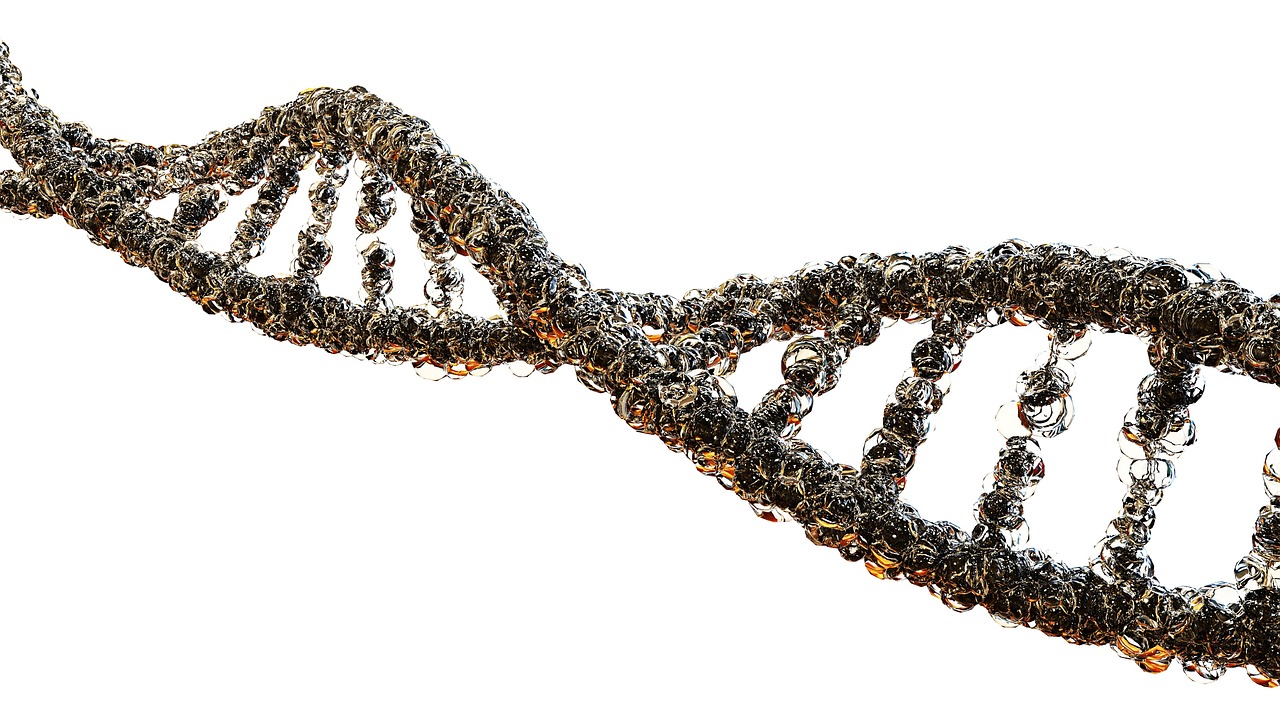 Genetics, Cancer and Personalised Medicine (Intercalated) BMSc (Hons)