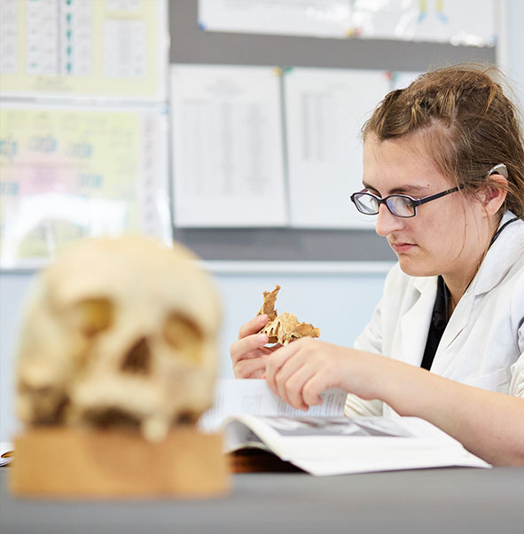 Human Osteology and Palaeopathology MSc