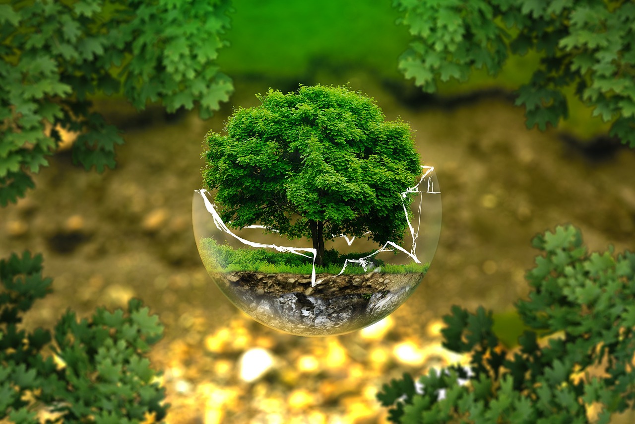 International Business and Environmental Sustainability MA (Hons)