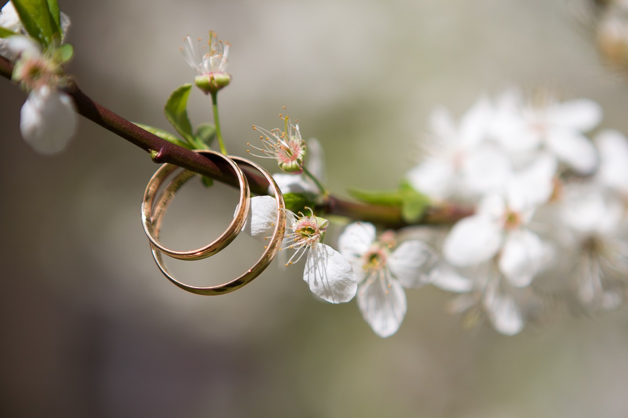 Jewellery & Metal Design BDes (Hons)
