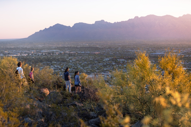 Peyzaj Mimarisi (MA)