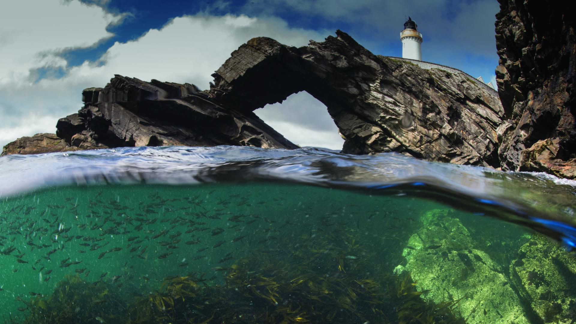 Marine Science and Conservation BSc (Hons)