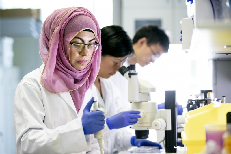 Microbiology (BS)