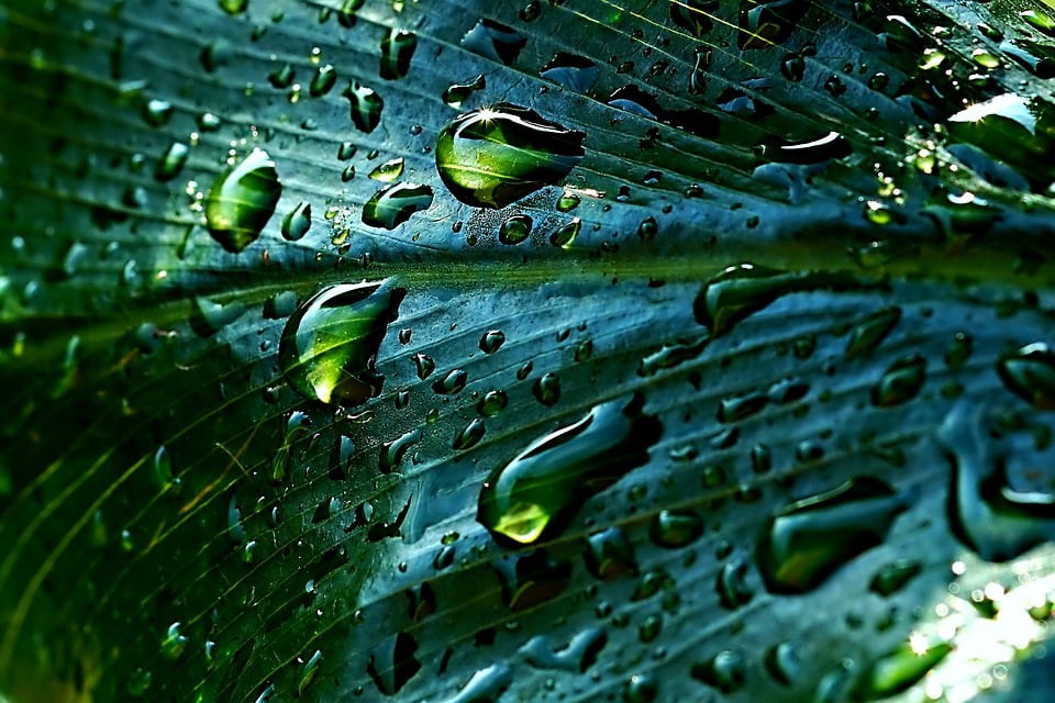 Sustainability and Water Security MSc