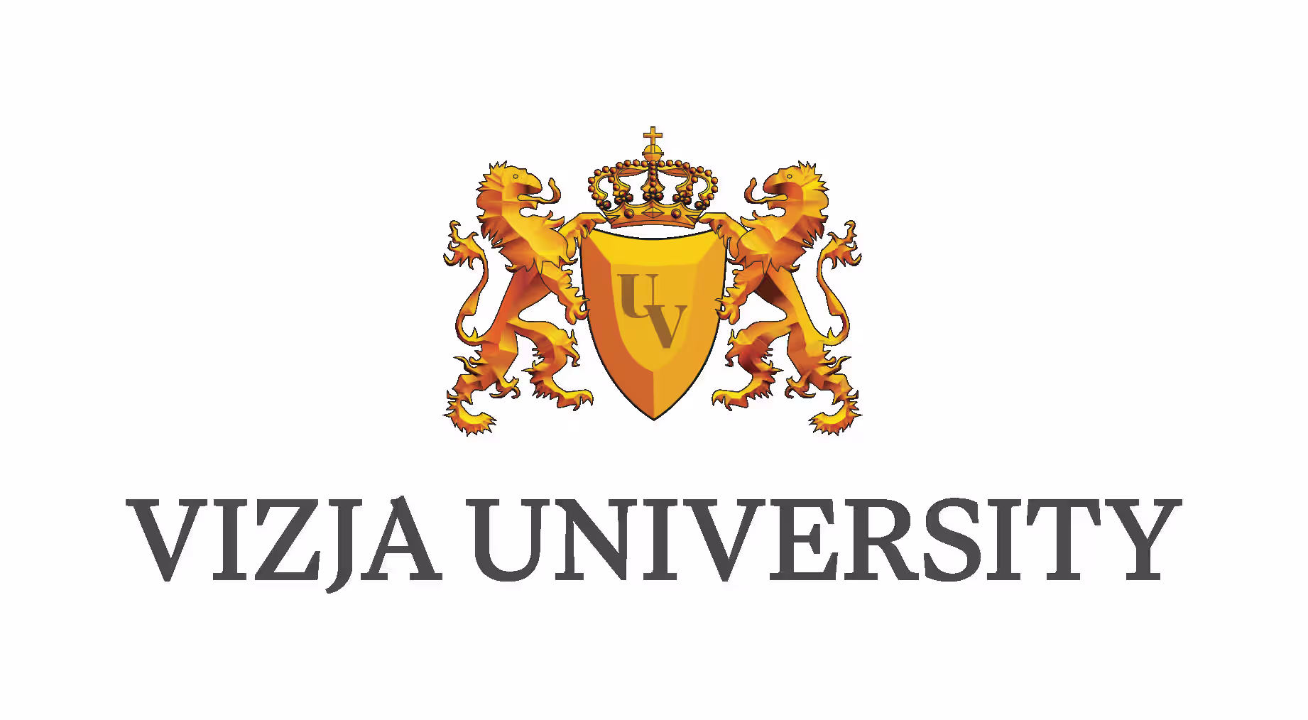 ヴィジャ大学